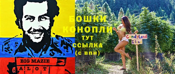 прущие крисы Алексеевка